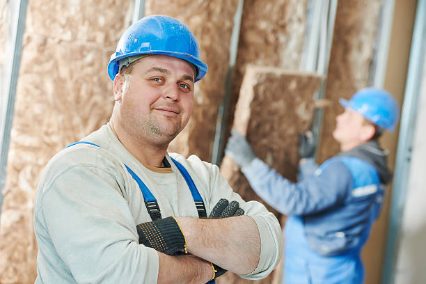 Best DIY Insulation Kits and Guidance in Collinsvle, IL